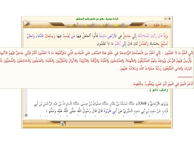 عرض الآيات